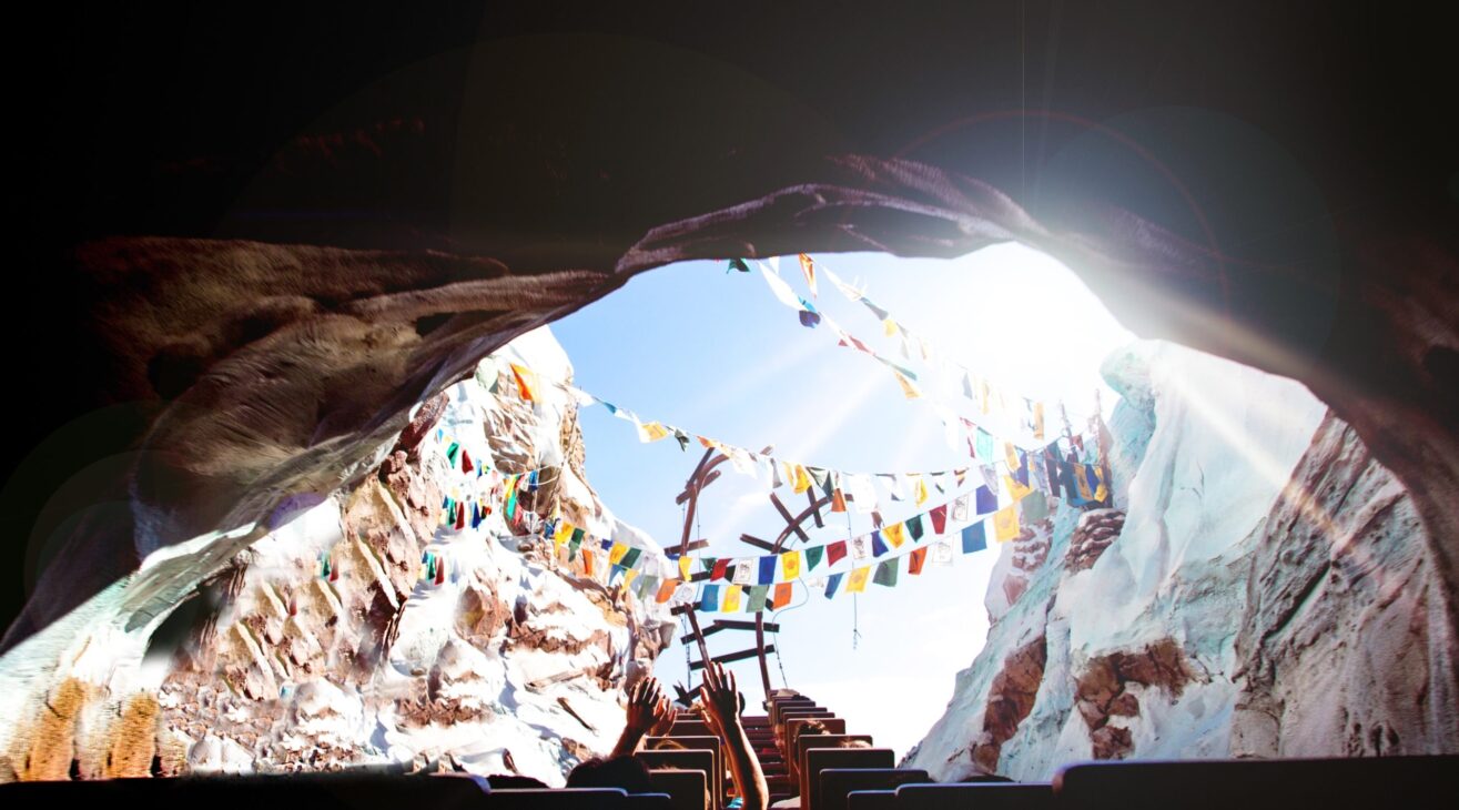 #featurefriday – “Are We on a Rollercoaster?”