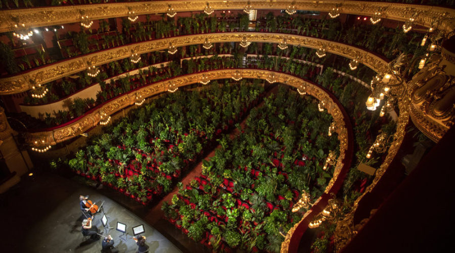 Barcelona Opera Reopens with an Audience Full of Plants